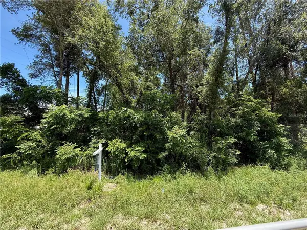 LOT 13 STATE ROAD 44, Eustis, FL 32726