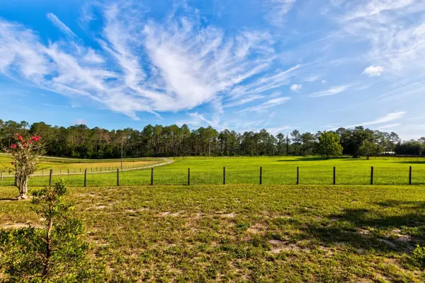 24948 WALKABOUT RANCH RD, Sorrento, FL 32776