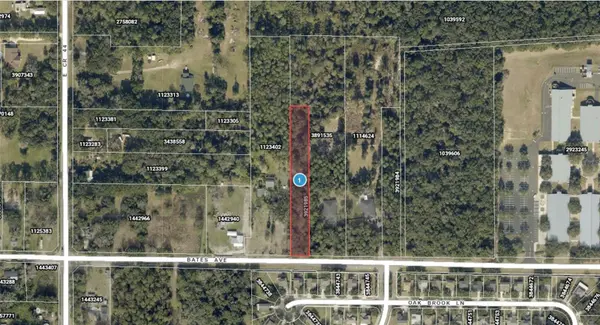 E BATES AVE, Eustis, FL 32726
