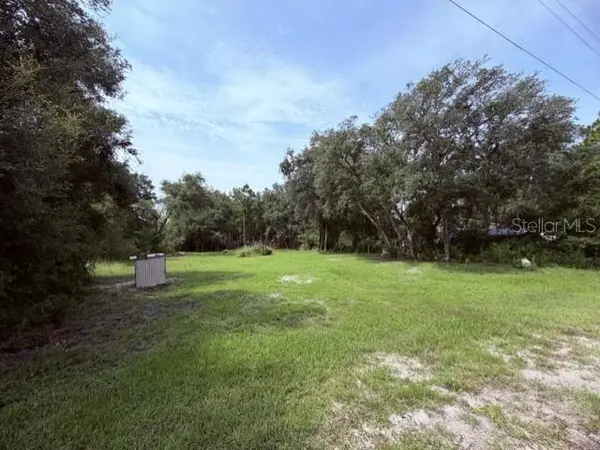 35356 KRAMER ST, Webster, FL 33597