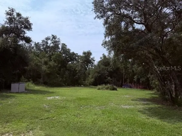 35356 KRAMER ST, Webster, FL 33597
