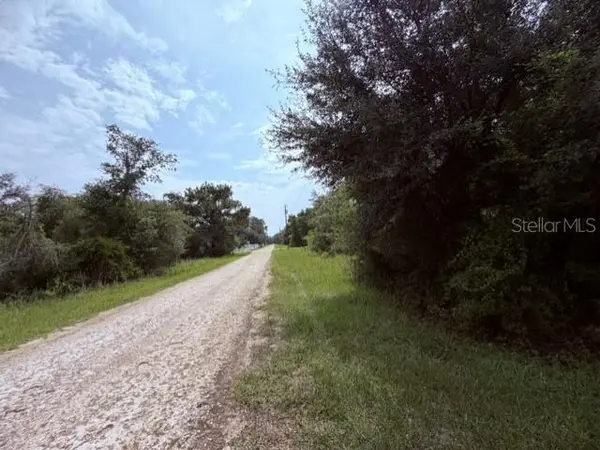 35356 KRAMER ST, Webster, FL 33597