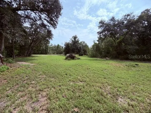 35356 KRAMER ST, Webster, FL 33597