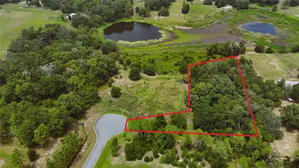 000 DARLINGTON AVE, Lady Lake, FL 32159