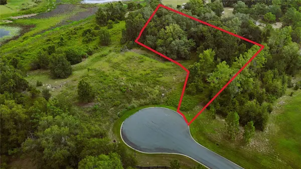 000 DARLINGTON AVE, Lady Lake, FL 32159