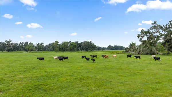 COUNTY ROAD 774, Webster, FL 33597