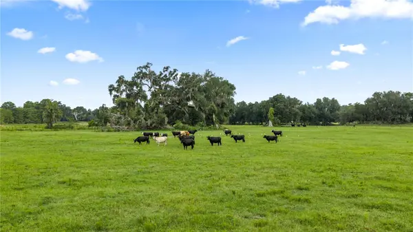COUNTY ROAD 774, Webster, FL 33597
