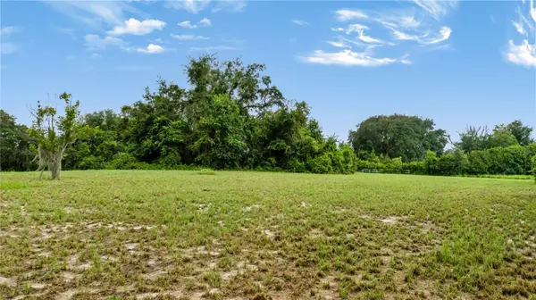 TROTTING HORSE LN, Tavares, FL 32778