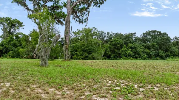 TROTTING HORSE LN, Tavares, FL 32778