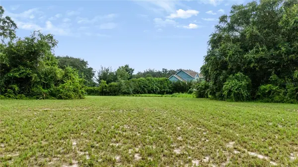 TROTTING HORSE LN, Tavares, FL 32778