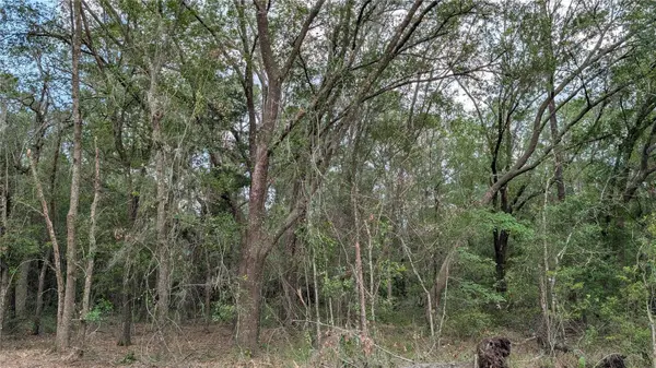 TBD NE 108TH PL, Waldo, FL 32694