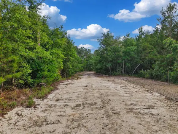 SAVANNA LN, Steinhatchee, FL 32359