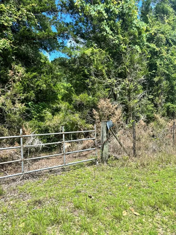 11916 NW 80TH CT, Chiefland, FL 32626