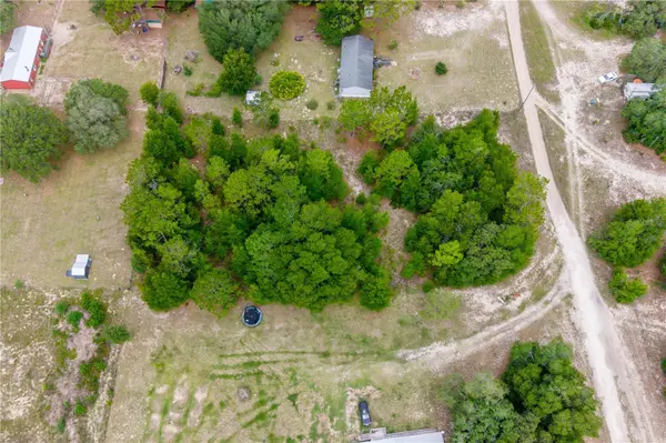 TBD NE 115 ST, Bronson, FL 32621