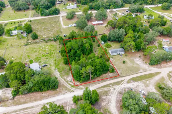TBD NE 115 ST, Bronson, FL 32621