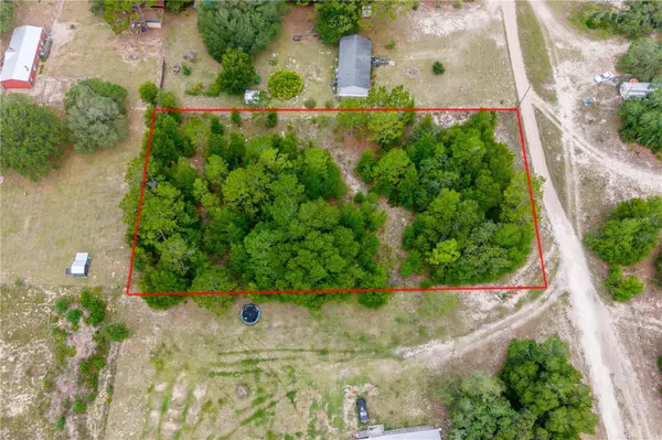 TBD NE 115 ST, Bronson, FL 32621