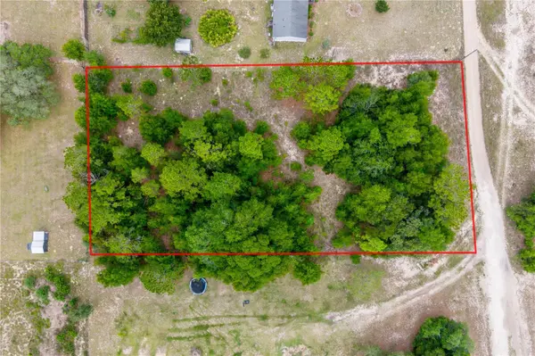 TBD NE 115 ST, Bronson, FL 32621