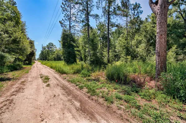 TBD NE 82ND PL, Bronson, FL 32621