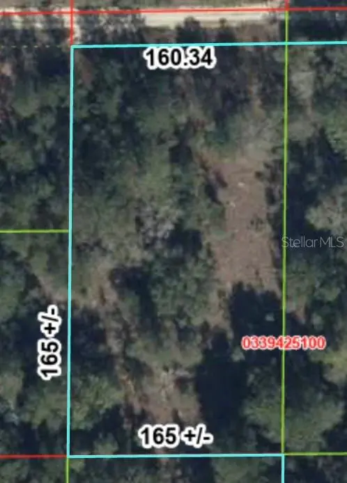 000 NE 83RD LN, Bronson, FL 32621