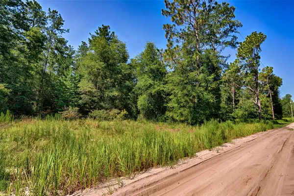 000 NE 83RD LN, Bronson, FL 32621