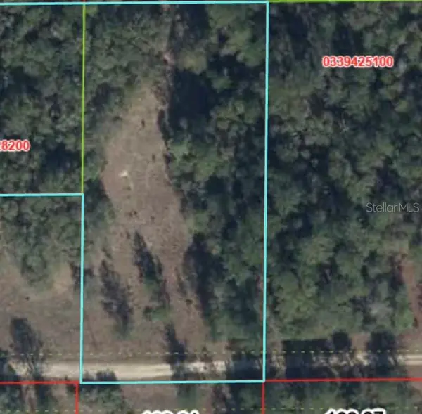 000 NE 82ND PL, Bronson, FL 32621