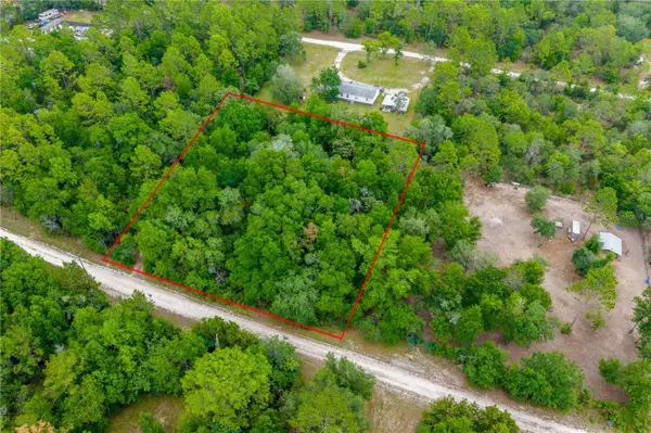 1671 NE 128TH AVE, Williston, FL 32696