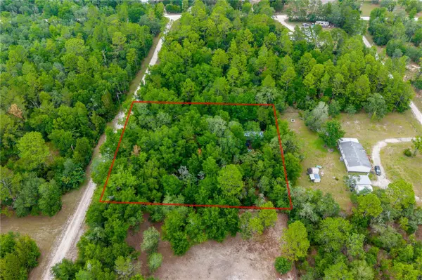 1671 NE 128TH AVE, Williston, FL 32696