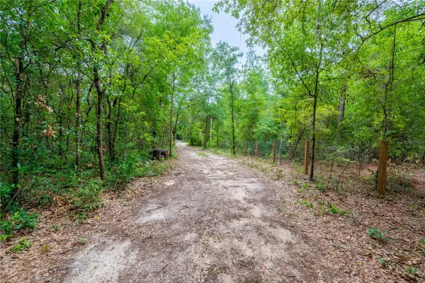1671 NE 128TH AVE, Williston, FL 32696