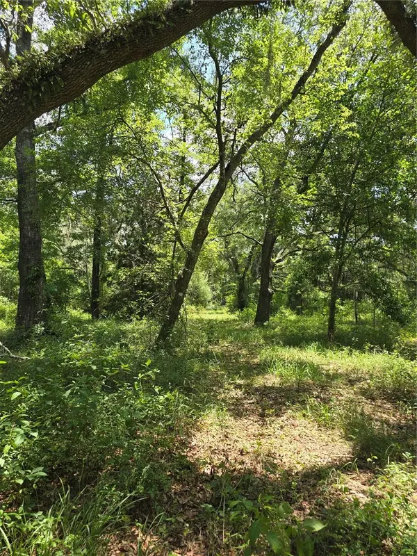 7563 SE COUNTY ROAD 405, Branford, FL 32008