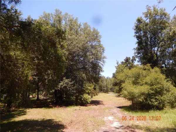 761 SW SUNVIEW ST, Fort White, FL 32038