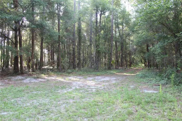 15821 SW 50TH AVE, Archer, FL 32618