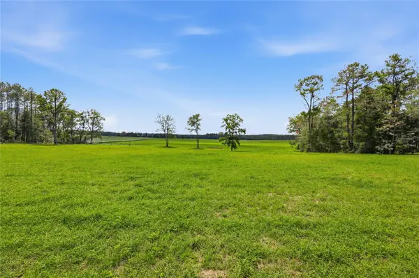 Lot 19 254TH LN, Alachua, FL 32615