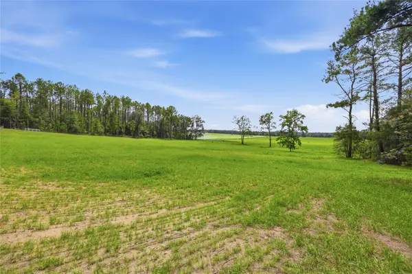 Lot 19 254TH LN, Alachua, FL 32615