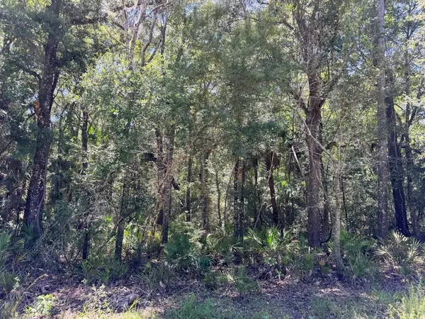 0 SE HWY 19, Inglis, FL 34449