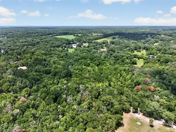 5725 NW 219TH STREET RD, Micanopy, FL 32667