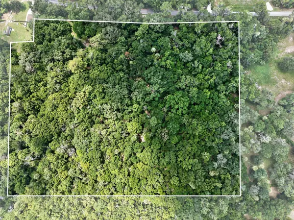 5725 NW 219TH STREET RD, Micanopy, FL 32667