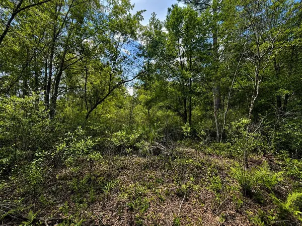 TBD SE 136TH ST, Starke, FL 32091