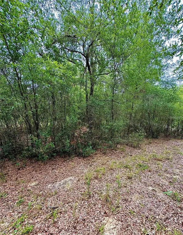 12790 NE 78 TER, Bronson, FL 32621