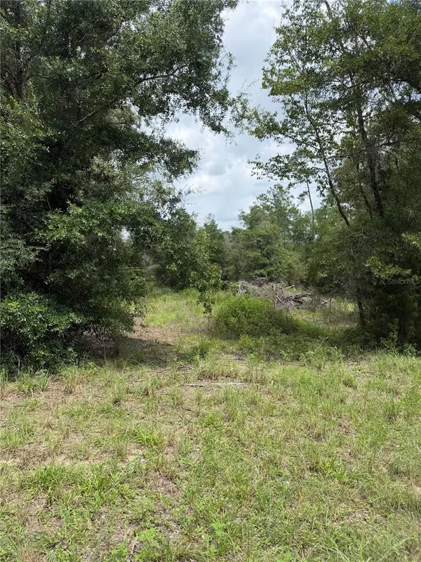 4951 NE 142ND CT, Williston, FL 32696