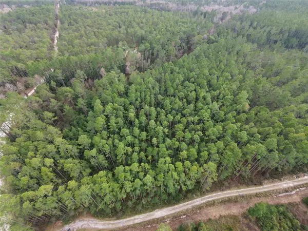 NE NE 130 CT RD, Fort Mc Coy, FL 32134