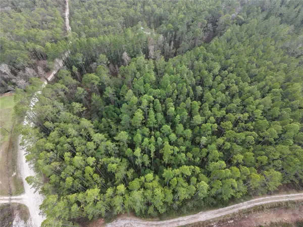 NE NE 130 CT RD, Fort Mc Coy, FL 32134