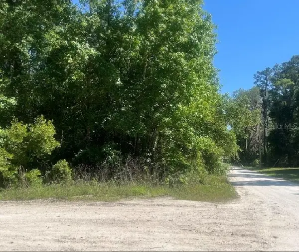 14220 NW 182ND LN, Williston, FL 32696
