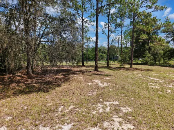 54 NE 841ST AVE, Old Town, FL 32680