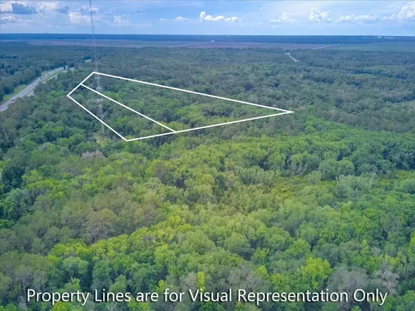 100 SE 134TH AVE, Micanopy, FL 32667