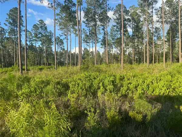 TBD NW CR 235, Lake Butler, FL 32054