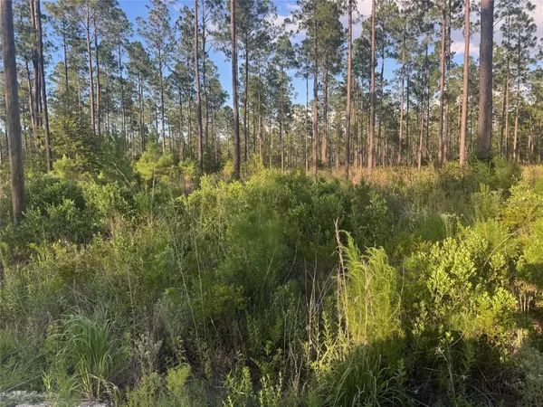TBD NW CR 235, Lake Butler, FL 32054