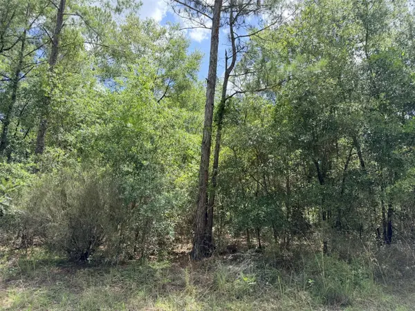 0 NE 77 PL, Bronson, FL 32621