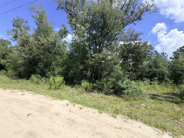 0 NE 77 PL, Bronson, FL 32621