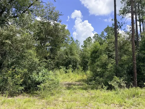 0 NE 77 PL, Bronson, FL 32621