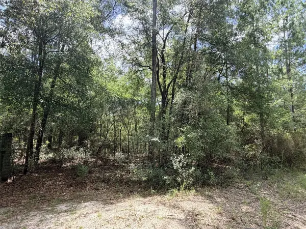 0 NE 77 PL, Bronson, FL 32621